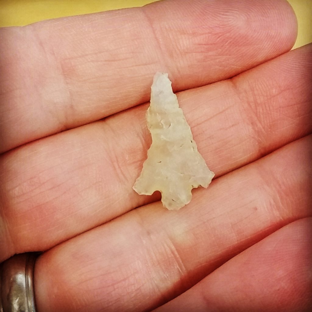 arrowhead found in Oregon field