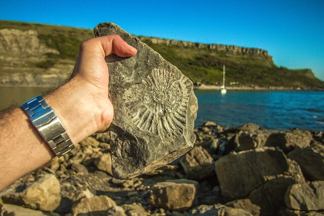 ammonite fossil near the ocean