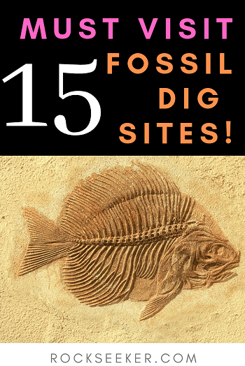 15 fossil dig sites