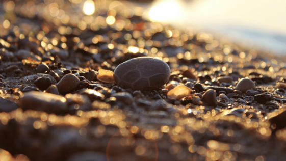 petoskey stone on beach