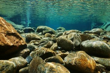 does river rock absorb water