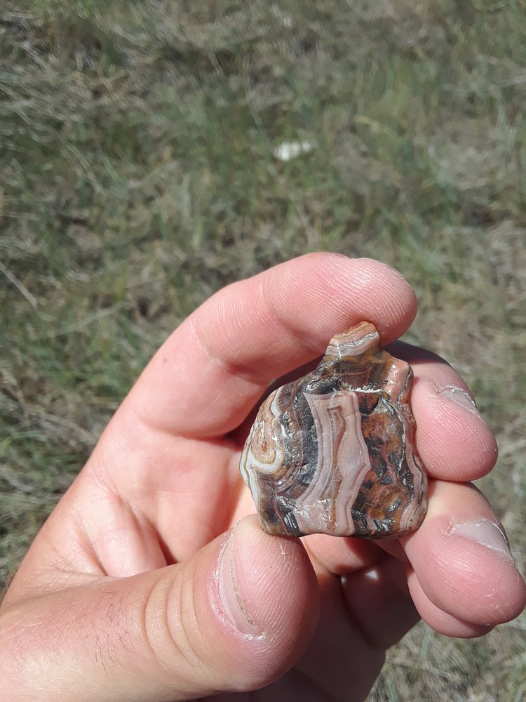 agate found in kansas