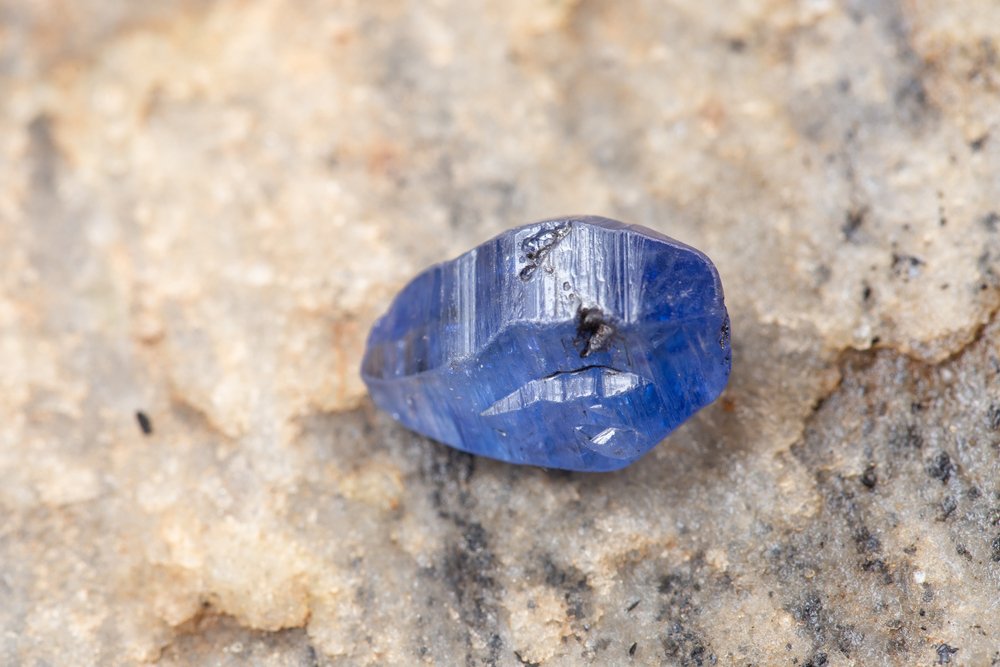 digging sapphires in montana