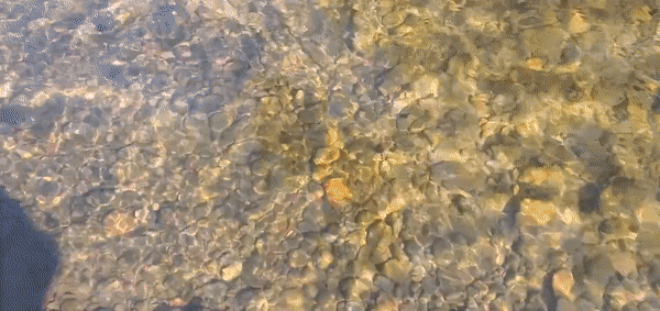 finding agates in river