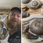 giant crab fossil