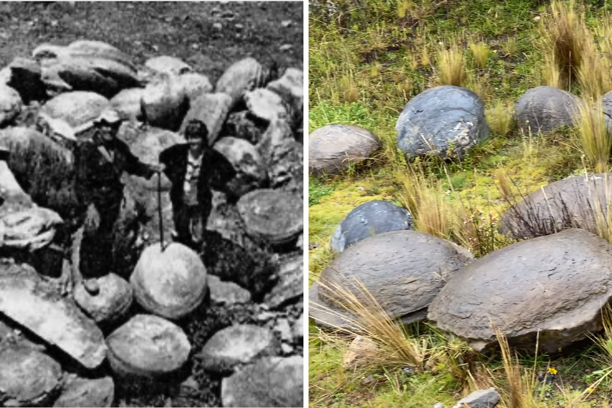 Giant Fossilized Clams Found in Peru (Or Are They?) - Rock Seeker