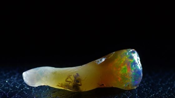 insect trapped in opal