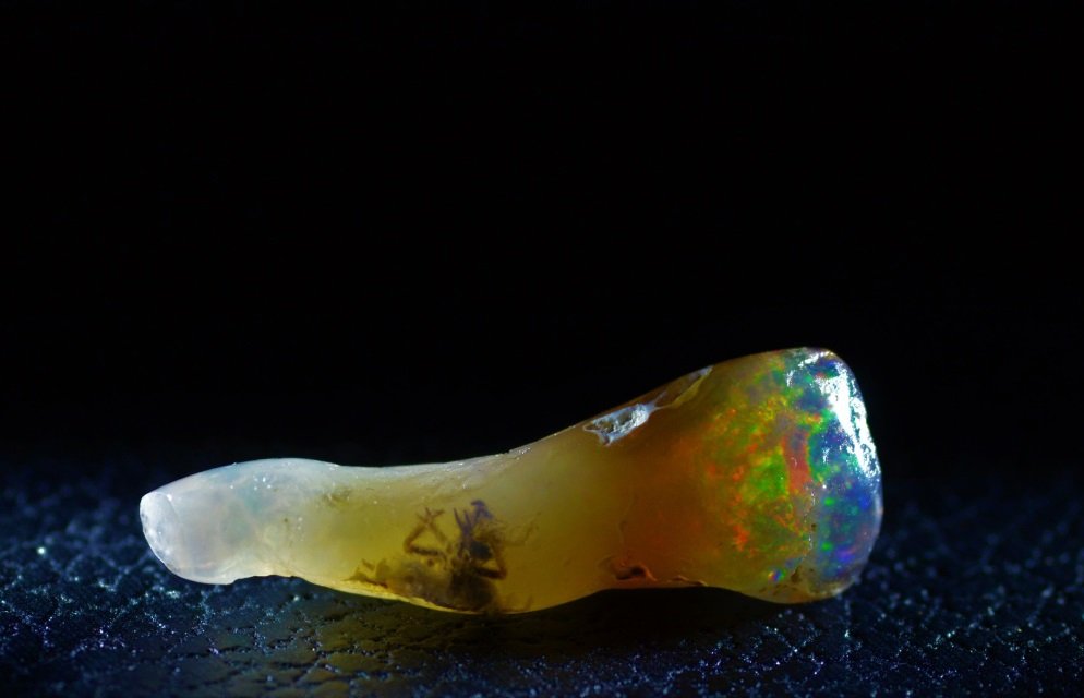 insect trapped in opal