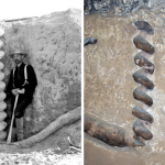 Devil’s Corkscrews fossils nebraska