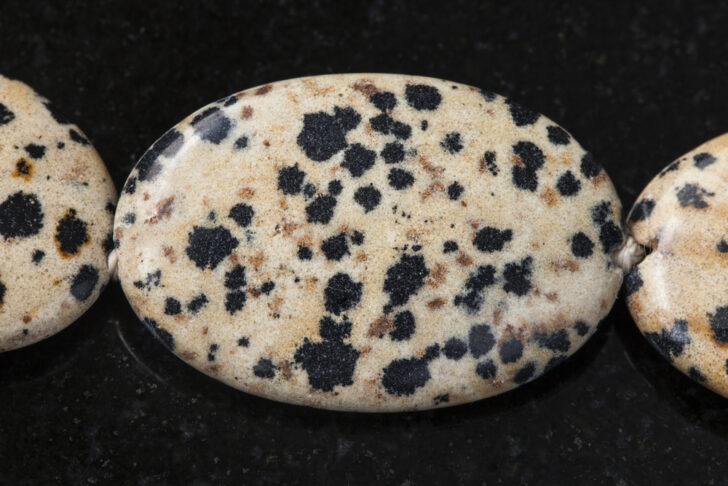 Ultimate Guide to Dalmatian Stone (What It Is And Where to Find It ...