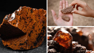 brown rocks and minerals
