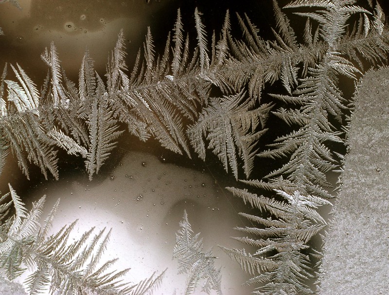 Ice crystals are a great example of Arborescent formation