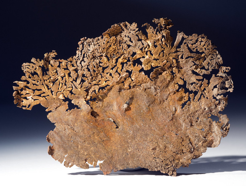 Copper showing dendritic patterns