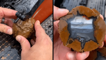 cutting thundereggs with incredible results